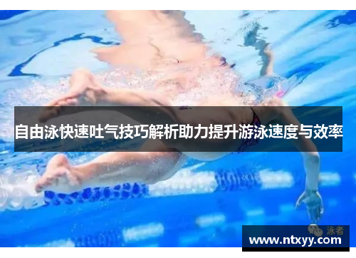 自由泳快速吐气技巧解析助力提升游泳速度与效率