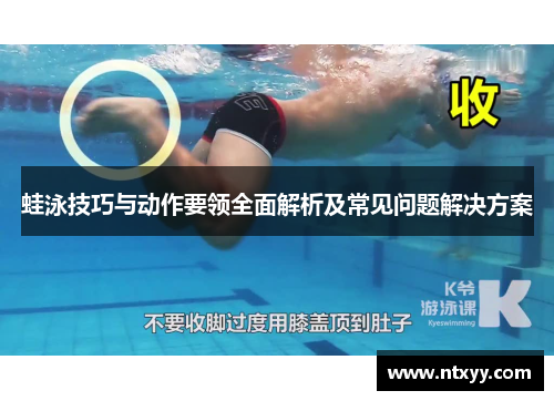 蛙泳技巧与动作要领全面解析及常见问题解决方案